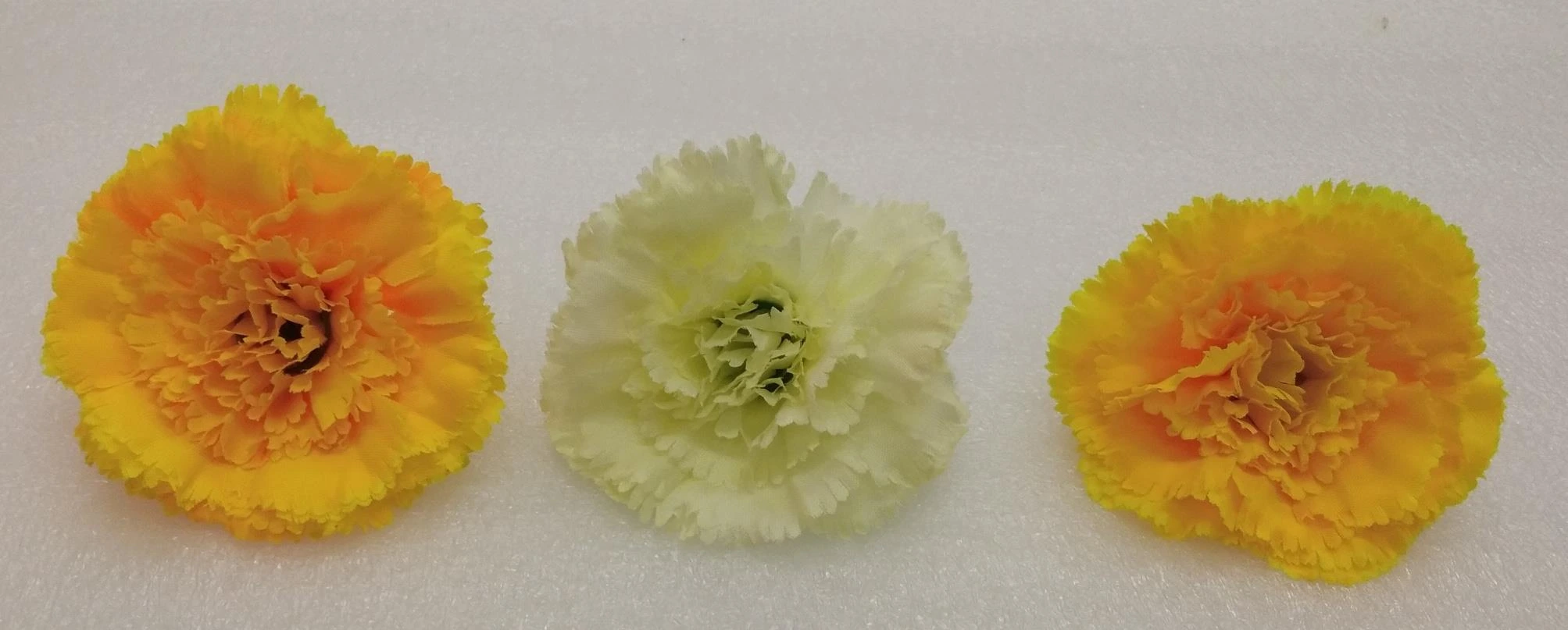 Carnation 8 petals